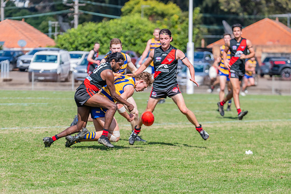 MPD Reserves Major Semi Final - Sydney University v North Shore
