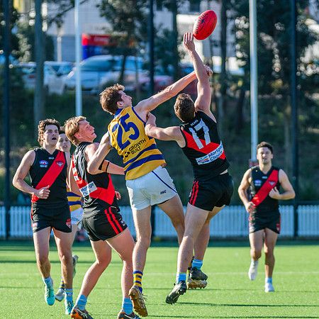 Rd 15 MPD - North Shore v Sydney Uni - 3 August 2024
