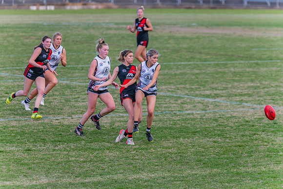 WPD Elimination Final - North Shore v Inner West - 7 August 2022