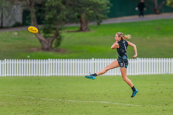 Rd 7 WPD - St George v UTS - 25 May 2024