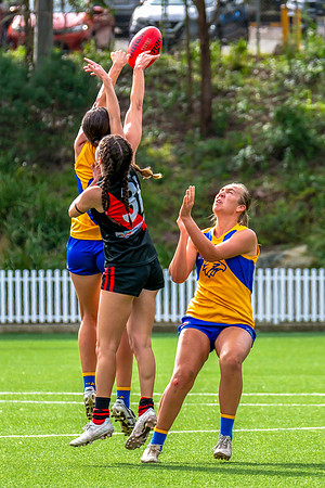 Rd 4 WPD - North Shore v East Coast - 26 April 2025