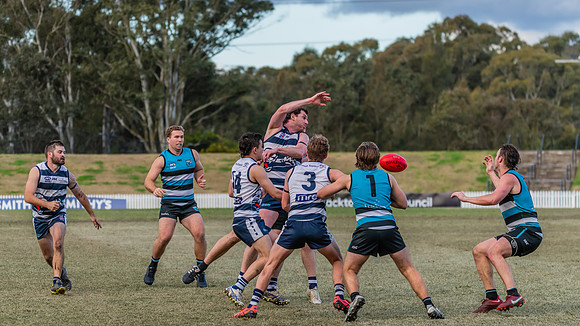Platinum Div Preliminary Final - Southern Power v Camden Cats -