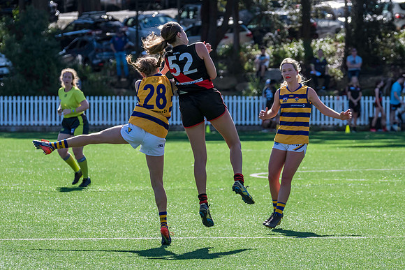 Rd 3 WPD - North Shore v Sydney Uni - 23 April 2022