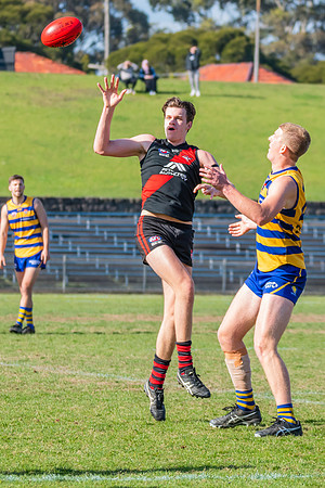 MPD Reserves Major Semi Final - Sydney University v North Shore