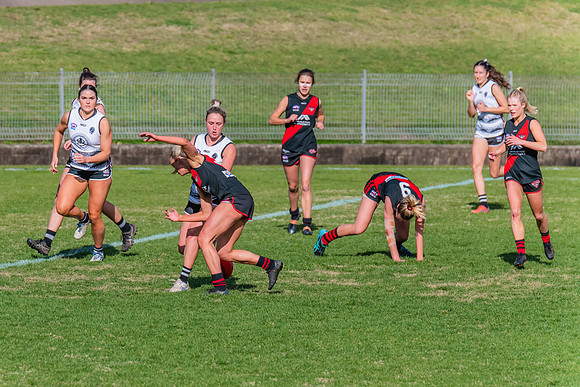 WPD Elimination Final - North Shore v Inner West - 7 August 2022