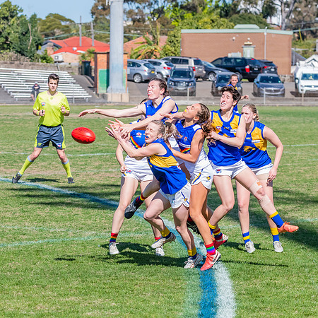 WPD Preliminary Final - East Coast v Sydney University - 21 Augu