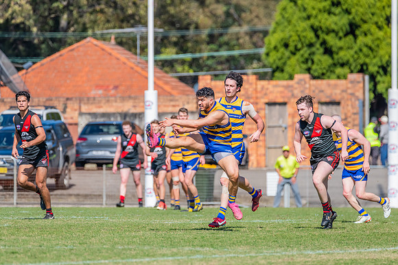 MPD Reserves Major Semi Final - Sydney University v North Shore