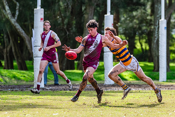 Rd 17 MPD - Manly Warringah v Sydney Uni - 16 August 2025