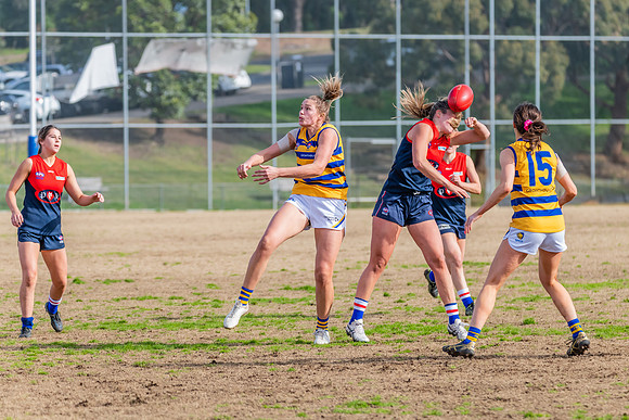 Rd 14 WPD - Pennant Hills v Sydney Uni - 16 July 2022
