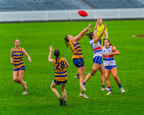 Rd 8 WPD - UNSW-ES v Sydney Uni - 1 June 2024
