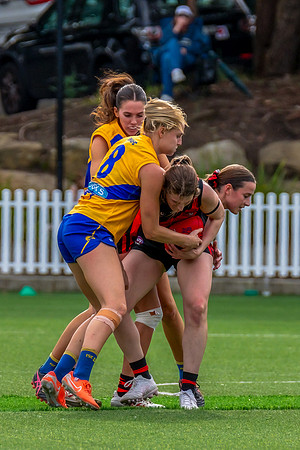 Rd 4 WPD - North Shore v East Coast - 26 April 2025