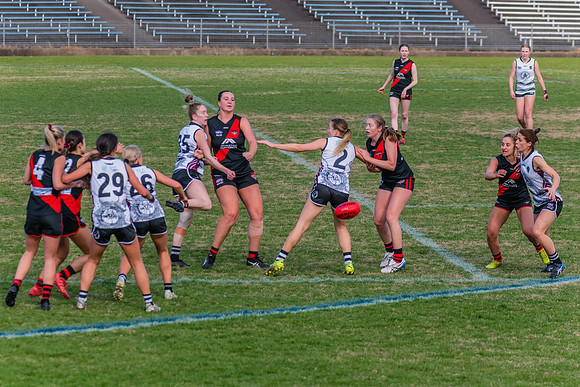 WPD Elimination Final - North Shore v Inner West - 7 August 2022