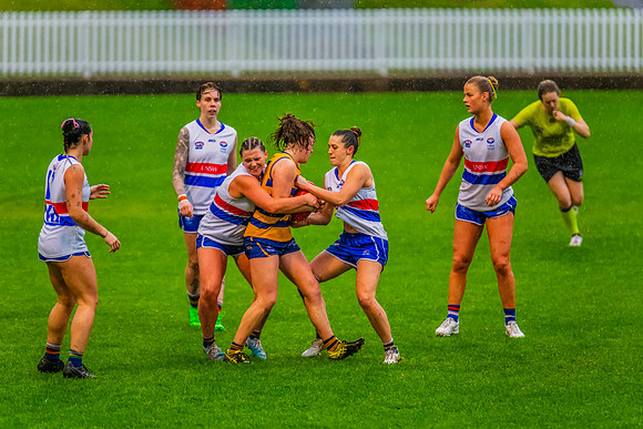 Rd 8 WPD - UNSW-ES v Sydney Uni - 1 June 2024