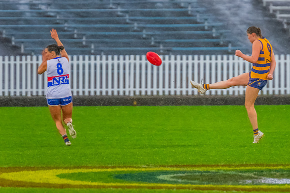 Rd 8 WPD - UNSW-ES v Sydney Uni - 1 June 2024