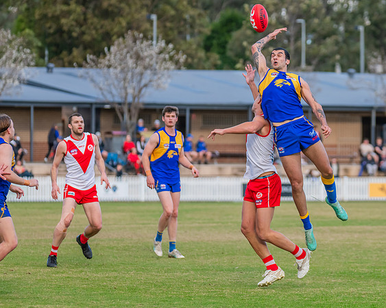 Rd 17 MPD - East Coast v St George - 17 August 2024
