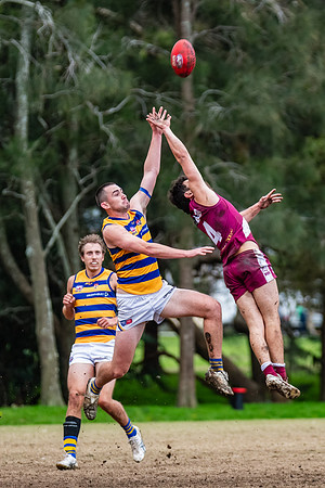 Rd 17 MPD - Manly Warringah v Sydney Uni - 16 August 2025