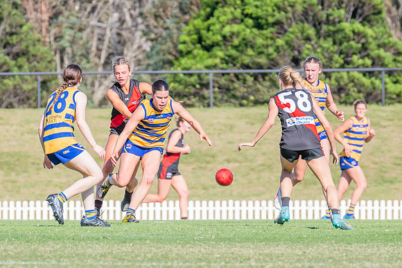 WPD Elimination Final - North Shore v Sydney Uni - 1 September 2