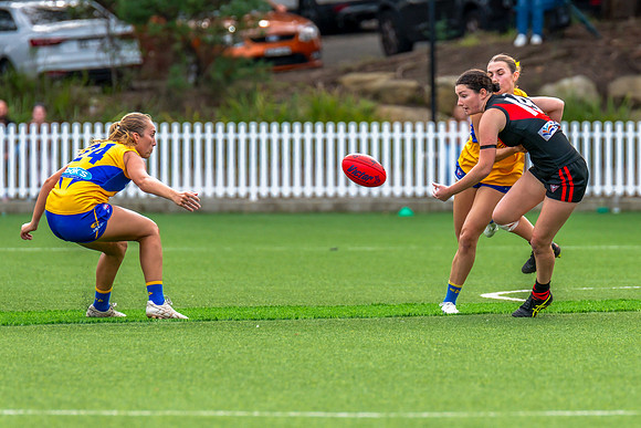 Rd 4 WPD - North Shore v East Coast - 26 April 2025
