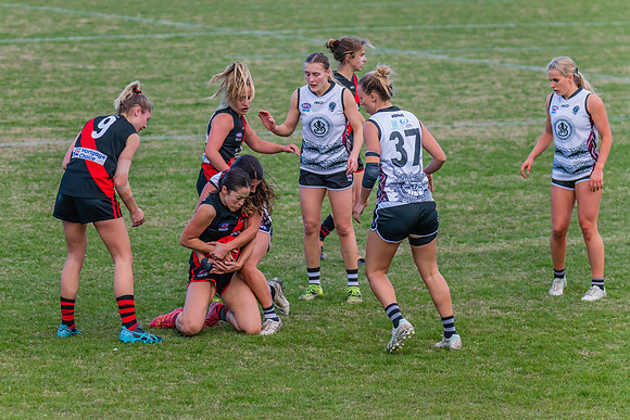 WPD Elimination Final - North Shore v Inner West - 7 August 2022