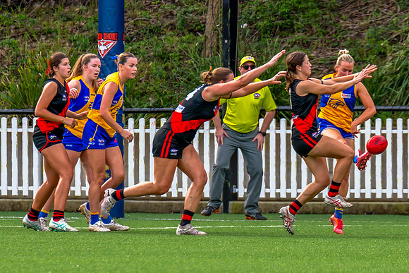 Rd 4 WPD - North Shore v East Coast - 26 April 2025