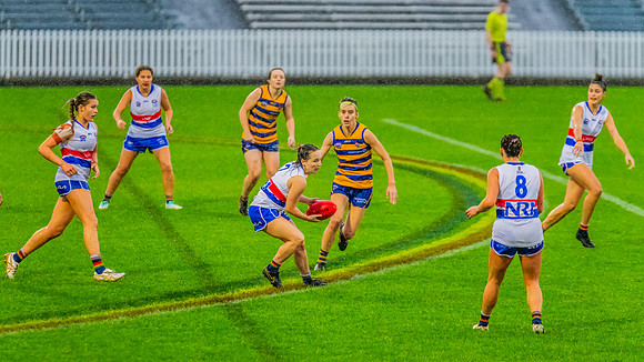 Rd 8 WPD - UNSW-ES v Sydney Uni - 1 June 2024