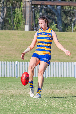 WPD Elimination Final - North Shore v Sydney Uni - 1 September 2