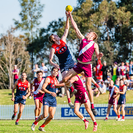 MPD Preliminary Final - Pennant Hills v Manly-Warringah - 14 Sep