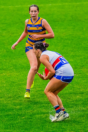 Rd 8 WPD - UNSW-ES v Sydney Uni - 1 June 2024