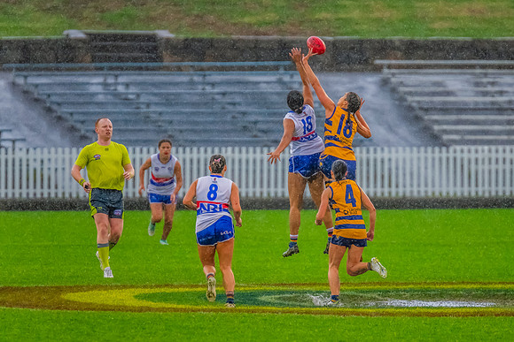 Rd 8 WPD - UNSW-ES v Sydney Uni - 1 June 2024