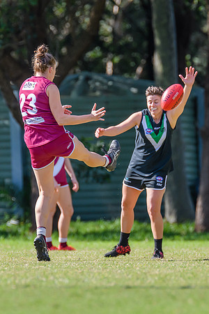 Rd 5 WPD - Manly Warringah v UTS - 7 May 2022