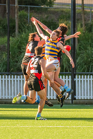 Rd 15 MPD - North Shore v Sydney Uni - 3 August 2024