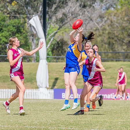WPD Qualifying Final 2 - East Coast v Manly Warringah - 7 Septem
