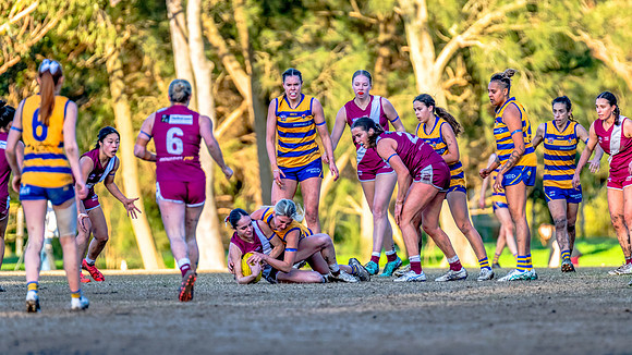 Rd 17 WPD - Manly Warringah v Sydney Uni - 16 August 2025