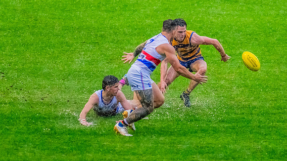 Rd 8 MPD - UNSW-ES v Sydney Uni - 1 June 2024