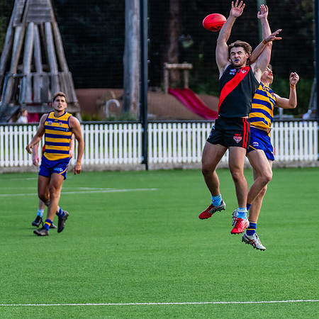 Rd 15 Men's Div 1 - North Shore v Sydney Uni - 3 August 2024