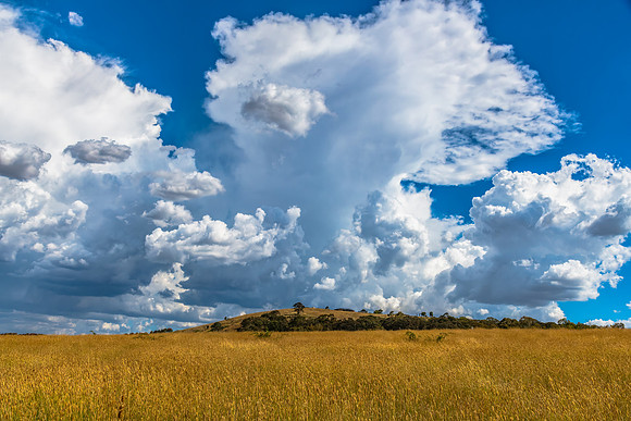 Afternoon storm clouds over the rural countryside