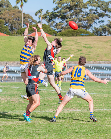 MPD Qualifying Final - North Shore v Sydney University - 20 Augu