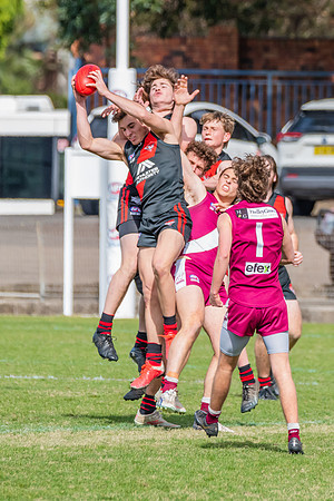 U19 Div 1 - Qualifying Final - North Shore v Manly Warringah - 2
