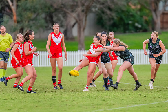 Rd 7 WPD - St George v UTS - 25 May 2024