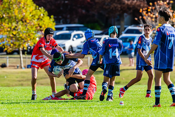 Rd 1 Bloomfield Tigers U13s v Mudgee U13s - 3 May 2025