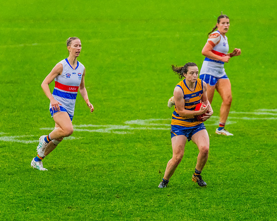 Rd 8 WPD - UNSW-ES v Sydney Uni - 1 June 2024