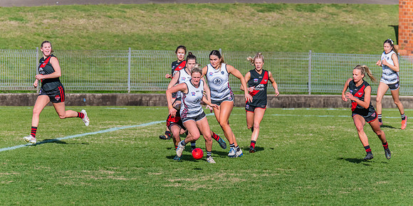 WPD Elimination Final - North Shore v Inner West - 7 August 2022