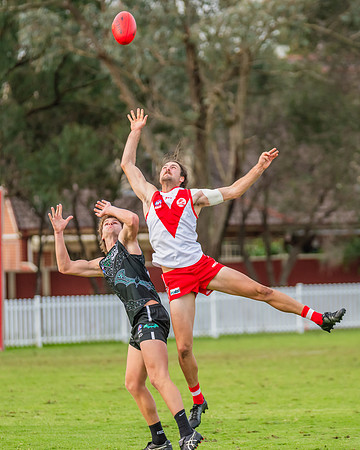 Rd 7 MPD - St George v UTS - 25 May 2024
