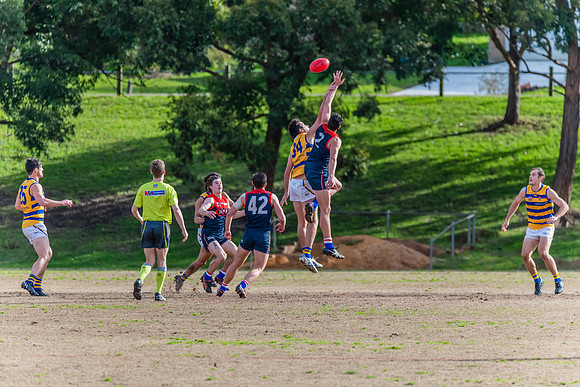 Rd 14 MPD - Pennant Hills v Sydney Uni - 16 July 2022
