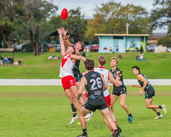 Rd 7 MPD - St George v UTS - 25 May 2024