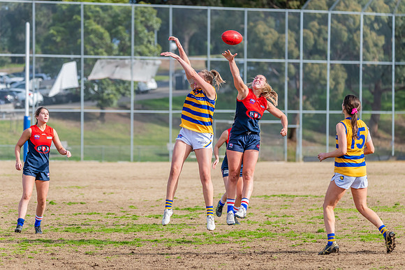Rd 14 WPD - Pennant Hills v Sydney Uni - 16 July 2022
