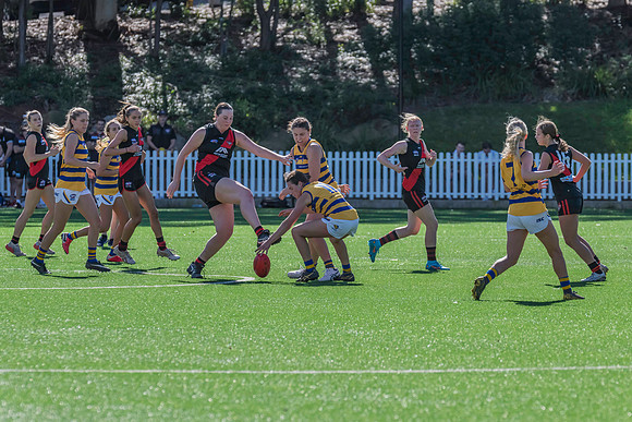 Rd 3 WPD - North Shore v Sydney Uni - 23 April 2022