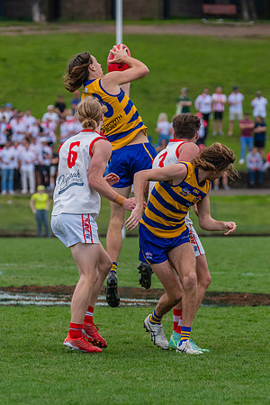 MPD Reserves Grand Final - Sydney Uni v St George - 10 September