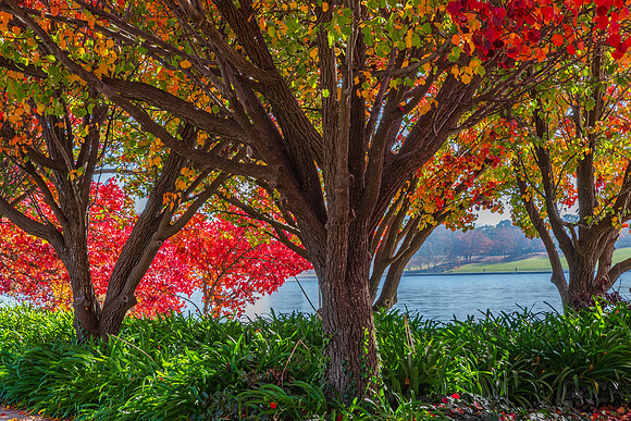 An Autumn day at Lake Burley Griffin