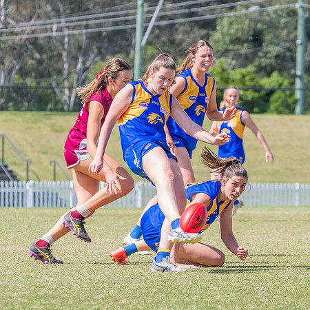 WPD Qualifying Final 2 - East Coast v Manly Warringah - 7 Septem